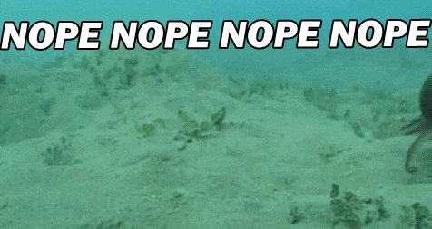 Nope Nope Nope GIFs - Get the best GIF on GIPHY