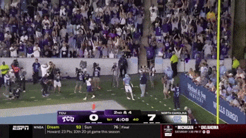 Tcu Football Fans GIF by TCU Athletics