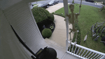 scared going down GIF by Nest