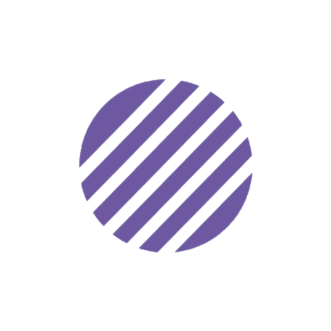 Confetti Sticker by Style my party