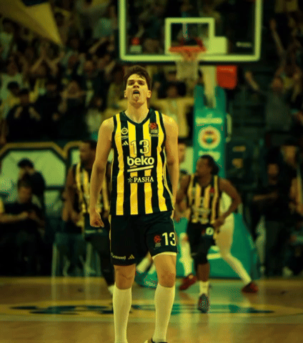 Fenerbahçe GIF