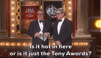 Is It Hot In Here Or Is It Just The Tony Awards