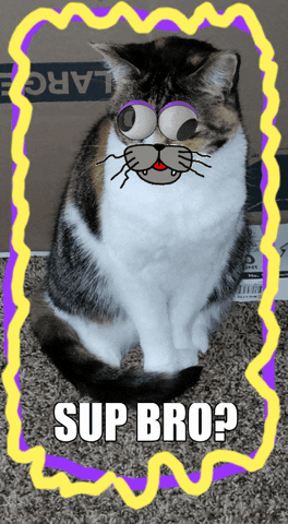 Meow GIF