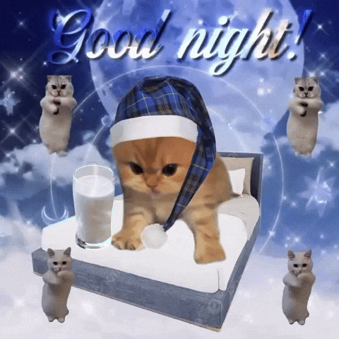 Good Night Cat GIF