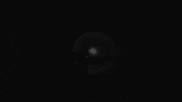 Howling Black And White GIF by SYML