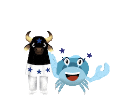 Caprichoso Sticker by Fora da Toca