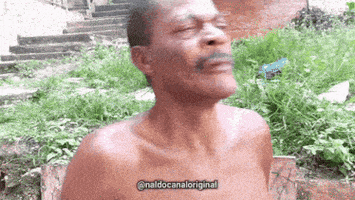 Canal GIF