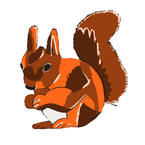Squirrel Herbst Sticker by lillemei