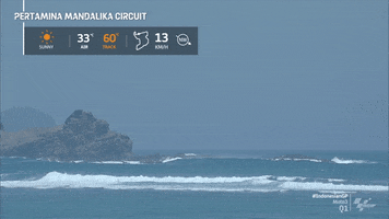 Racing Ocean GIF by MotoGP