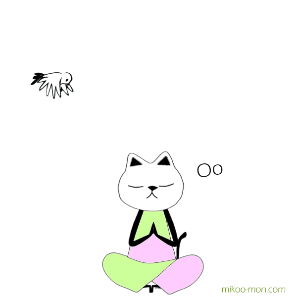 Mikoomon cat bird yoga gato GIF