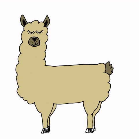Lama GIF