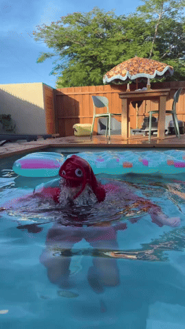 Salty Seafood GIF