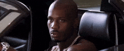Dmx GIF