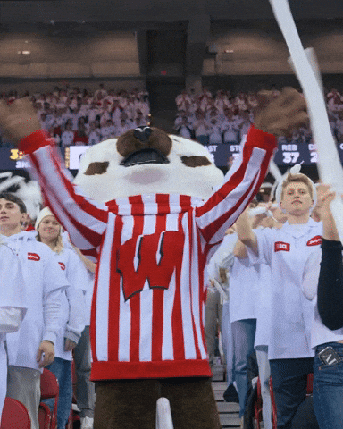 Rejected Uw Madison GIF by Wisconsin Badgers