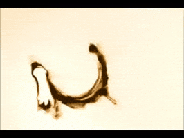 Sand Animation GIF