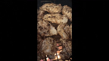 GIF by Pit Barrel Cooker