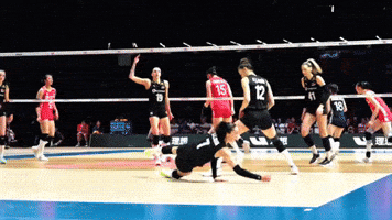 Hande Baladin GIF