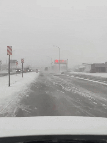 Fog Driving GIF by Storyful