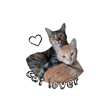 Cat Lover Sticker by Rubicat