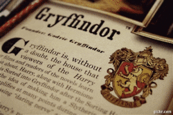 Gryffindor's meme gif