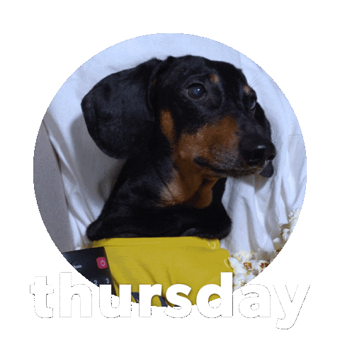 Happy Thursday Sticker By Sealed With A GIF