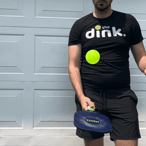 Pickleball GIF