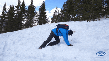 Backcountry_Access ski safety avalanche bca GIF