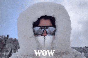 Winter Wow GIF