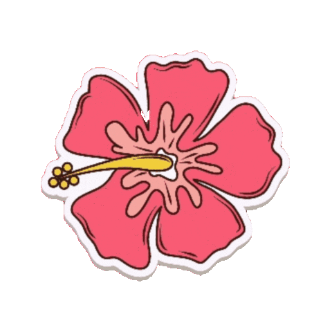 Summer Flower Sticker by shimujoyas