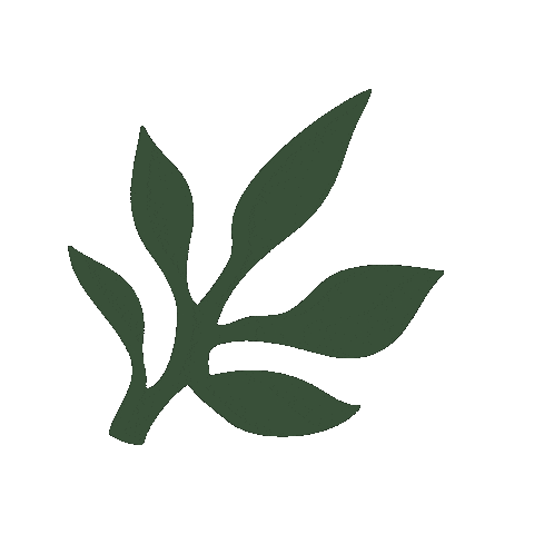 Skincare Waxing Sticker by The Pink Canoe Studio