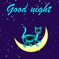 Good Night Cat GIF