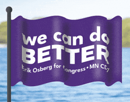 Flag We Can Do Better GIF by realzygoatian