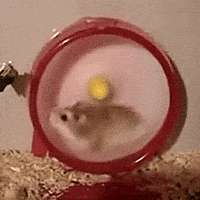 200w.gif