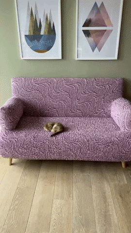 Sleepy Cat GIF by mammamiacovers