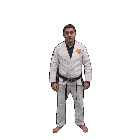 Bjj Jiujitsu Sticker by ghbrownsville