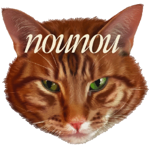 nounoulondon Sticker