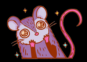 Zoehi GIF