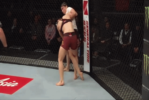 Bjj Armbar GIF - Find & Share on GIPHY