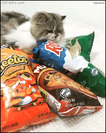 snack afternoon GIF