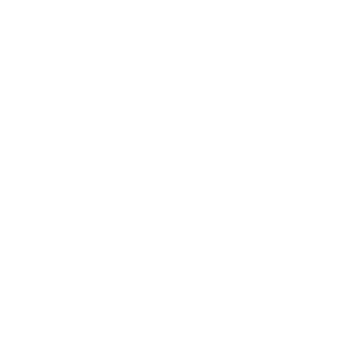 logo g-star raw