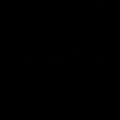 FL1 GIF