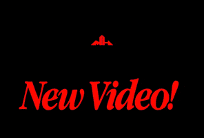 New Video M GIF by MadHouse