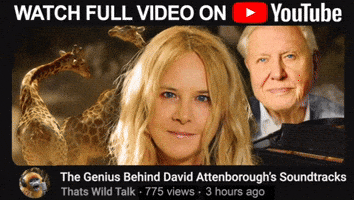 Bbc David GIF