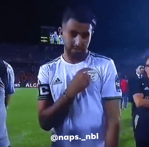 Football Algeria GIF