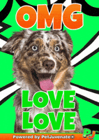 Henlo Hooman Fren GIF by PetJuvenate - PJ