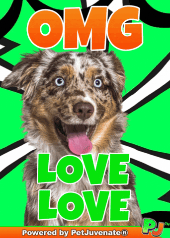 Henlo Hooman Fren GIF by PetJuvenate - PJ