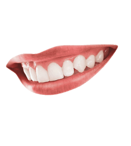 Dentista Sticker