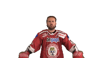 Ev Landshut Sticker by EVL Spielbetrieb GmbH