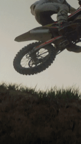 Dew Process GIF