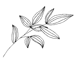 Designbär Sticker